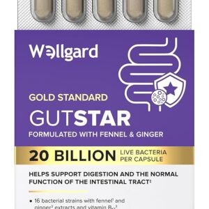 Wellgard Gutstar Probiotics – 16 Strain Probiotics for Gut Health with Fennel and Ginger