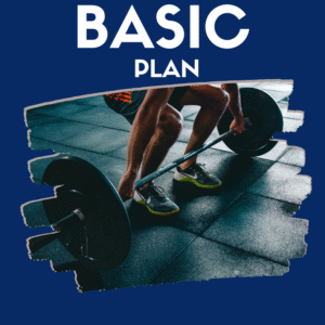 Basic Plan